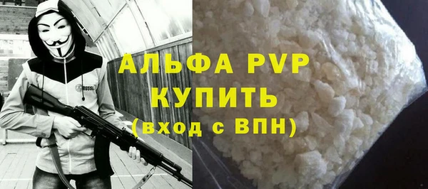 индика Заводоуковск